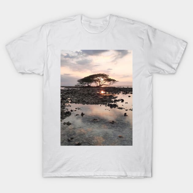 Single tree at Gili Trawangan beach T-Shirt by kall3bu